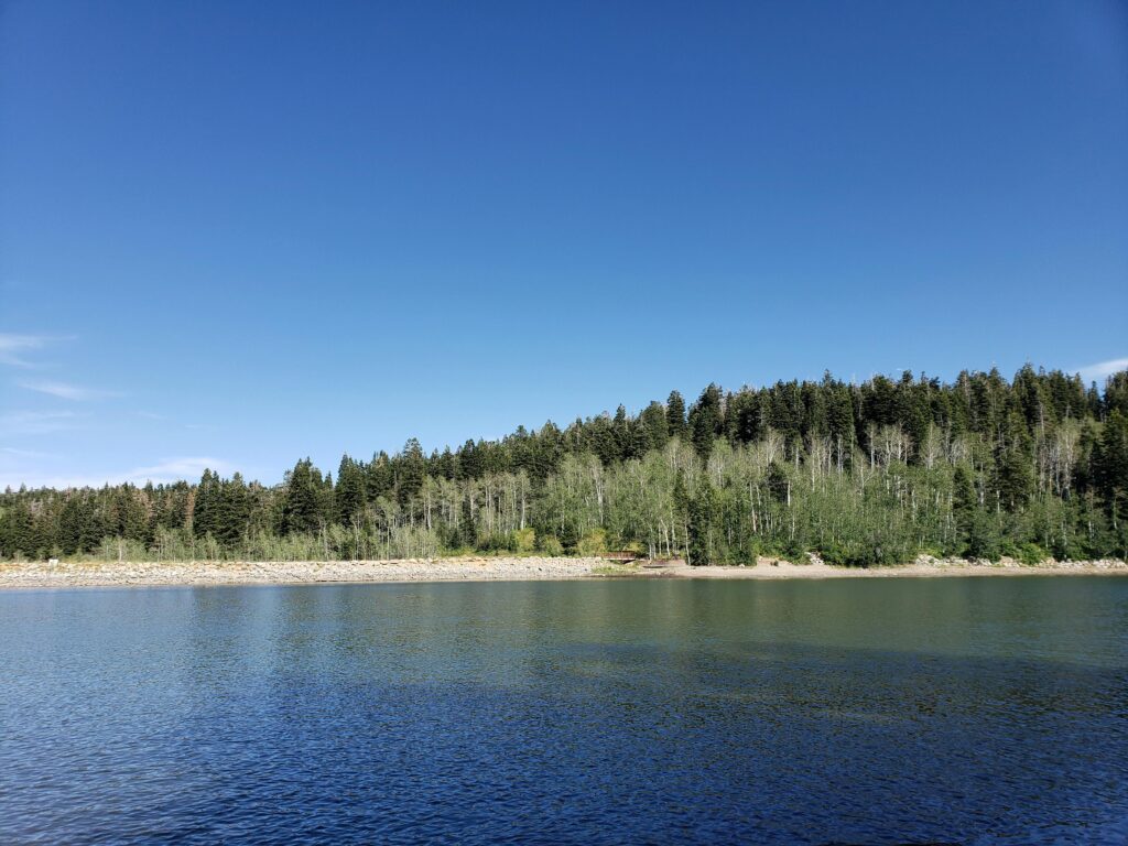 Serene lake reflecting a lush forest under a clear blue sky in Utah, perfect for nature lovers.